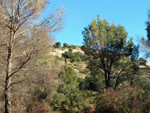 Looking up at the castle on approach