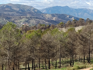 View across to Serrella ridge