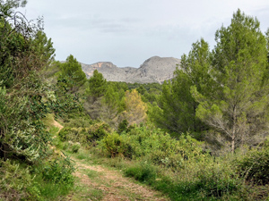 View across to Mediodia