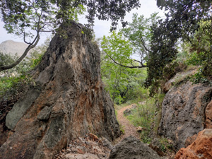 Rocky gateway into Fontilles woods