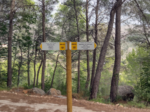 Fontilles woods