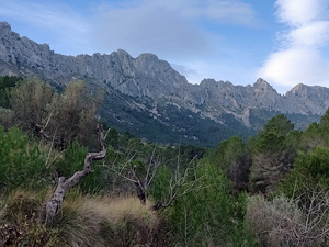 Bernia Ridge