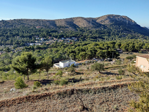 view back across valley from first ascent ridge