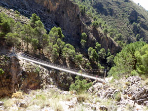 Looking down to the hanging bridge
