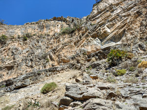A path up here..............
