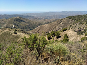 View torwards the coast