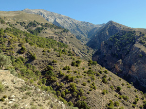 Looking into the gorge of El Saltillo
