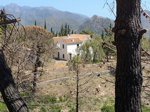 Casa de la Mina