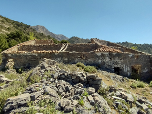 Venta ruins