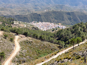 Canillas de Aceituno