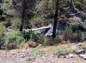Bridge on return route
