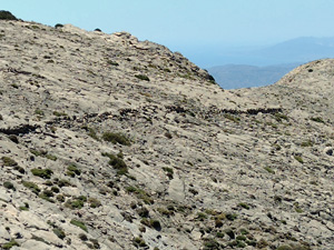 Rocky pathway