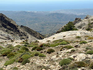 Remote landscape