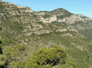 Flanks for Creus