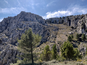 Looking back up Barranco Negra
