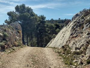 Rocky gateway