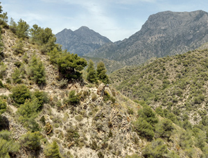 Looking across to levada return