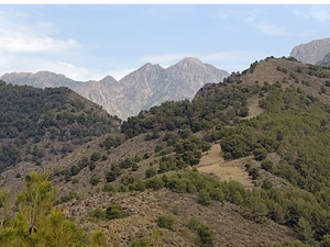 Through the valley to Lucero
