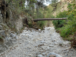 Rio Higueron
