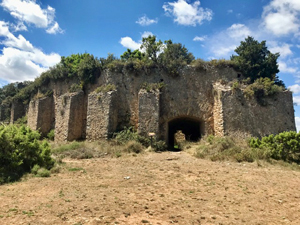 Cava de Don Miguel