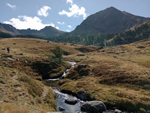 Outlet stream