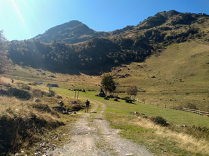 The return track