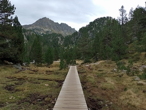 Easy walking