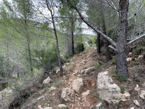 1. Ascent pathway with view of El Penyat