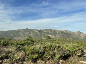 3. Ascent looking west - view to Ferrer Sierra