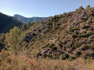 Footpath above the river bed