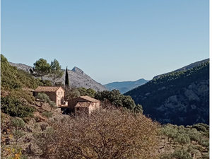 Lonely residence