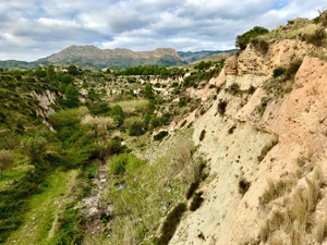 Looking up Rio Amadorio towards Serra de Les Gralla.