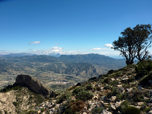 Looking North from the summit