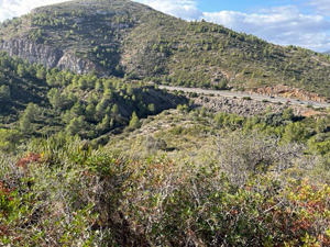 Riberers circuit 1