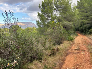 Riberers circuit 3