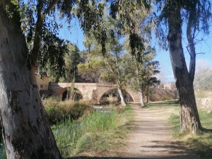 Rio Tuejar
