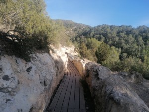 Roman Levada with Decking
