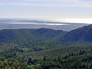 View NE over the Ebro delta