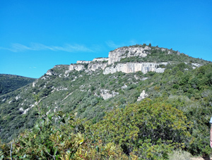 Summit