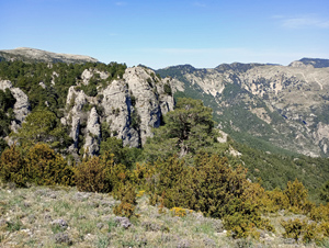 View N during our ascent