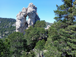Roca Campanari