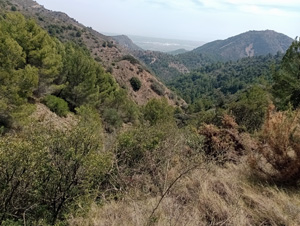 Valley view