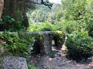 The arches of the aqueduct.