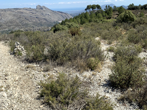 Cairn marking 'doubling back track' on ascent ridge towards Coccoll