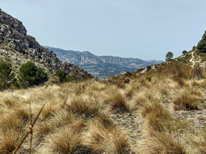 View to Aitana ridge from Font Major