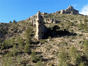 Ascent trail past Friar's Robe Pinnacle