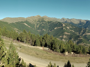 Views west