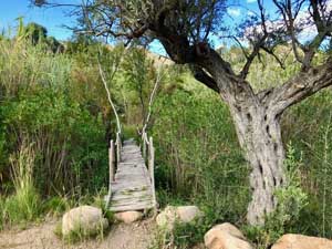 The rickety bridge leading back to Orxeta.