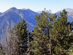 Higher mountain ranges