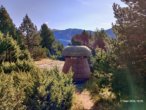 One of many mushroom sculptures